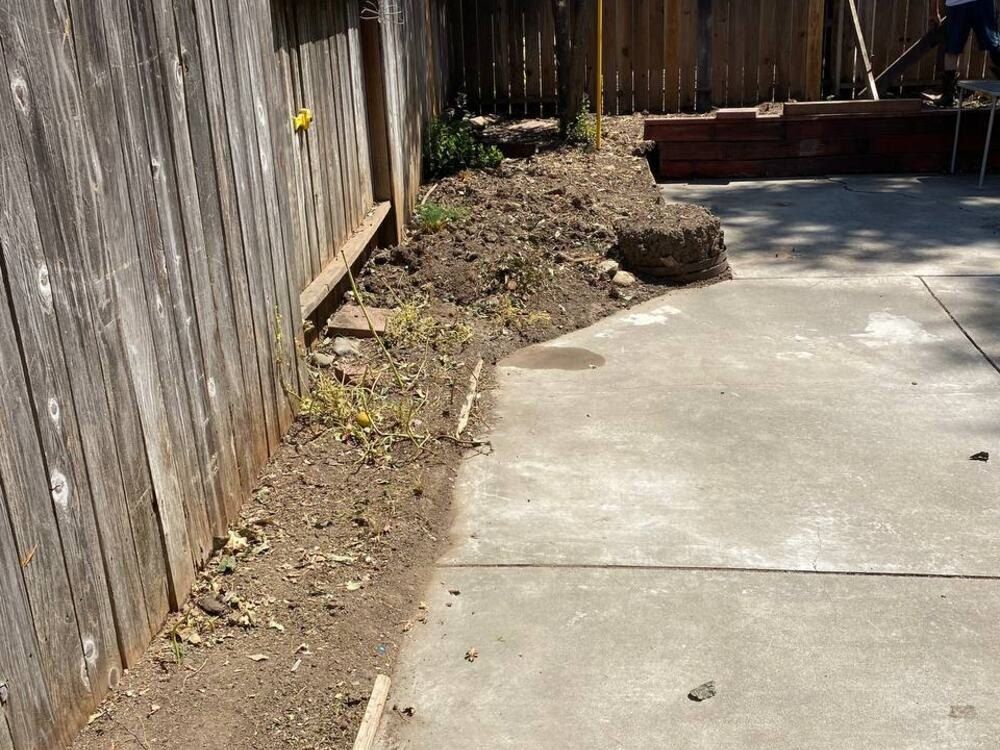 After: the same side yard clear