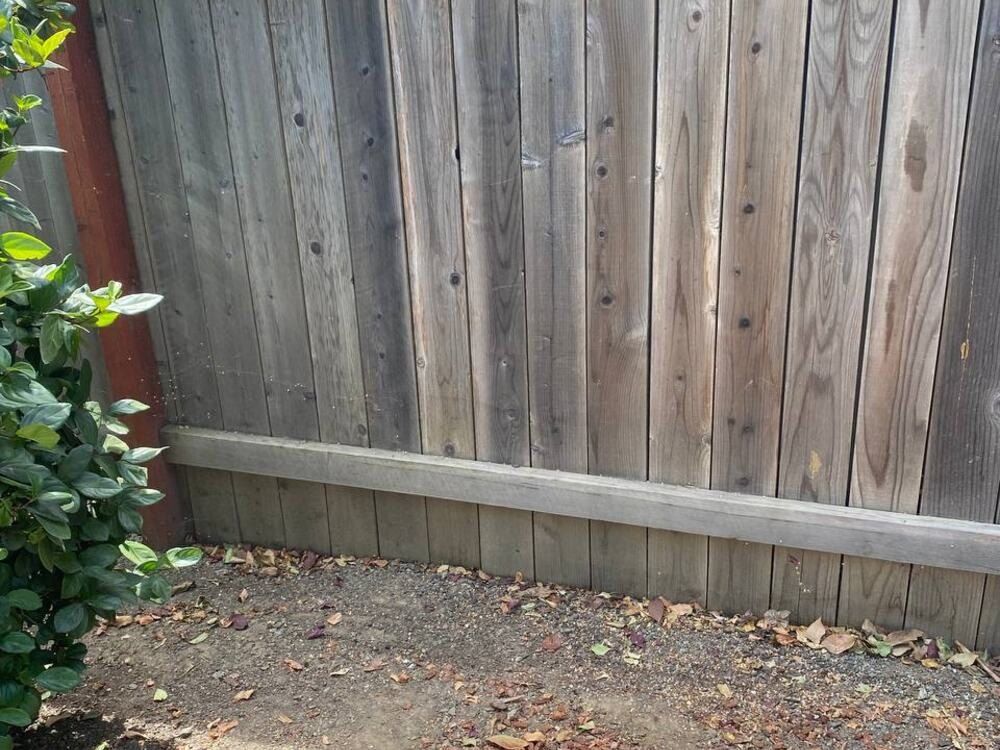 After: the same fence line clear